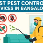 Best Pest Control in Bangalore