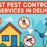 Best Pest Control Services in Delhi