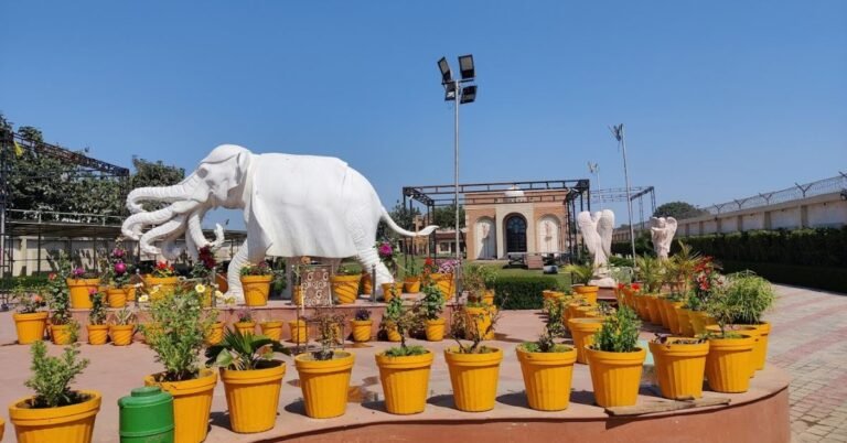 Best Marriage Halls in Aligarh For Mememorable Wedding Events